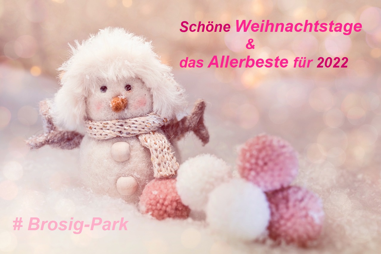 211229_211214_Pixabay_-_Weihnachtskarte_-_snowman-g8d191509f_1280_-_PEM.jpg