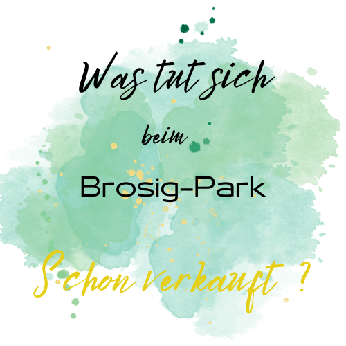 230909_Screenprint_-_Was_tut_sich_beim_Brosigpark_-_f._fb_.png