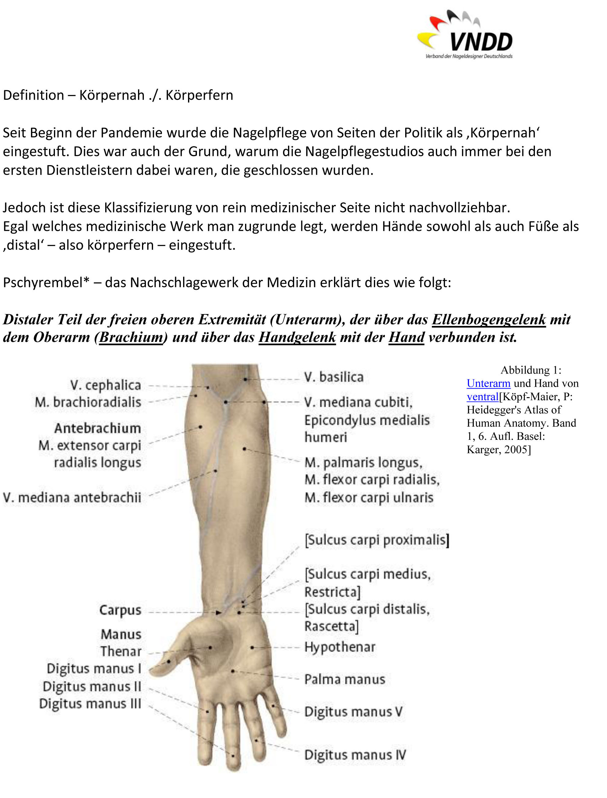 Körperfern_-_distal_-13.jpg