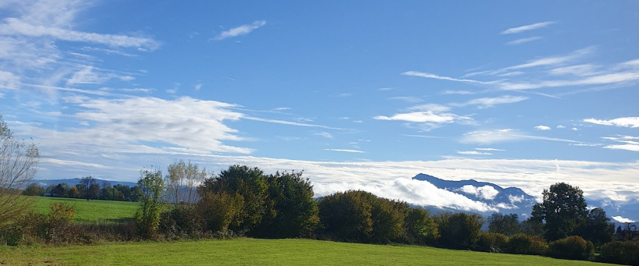 rigi-herbst_2022.jpg